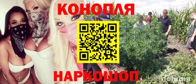 spice Пушкино