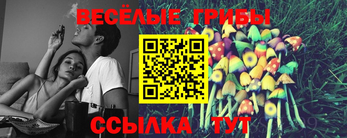 Альметьевск  сколько стоит  Вход с VPN  Галлюциногенные грибы Magic Shrooms  Псилоцибиновые грибы ЛСД 